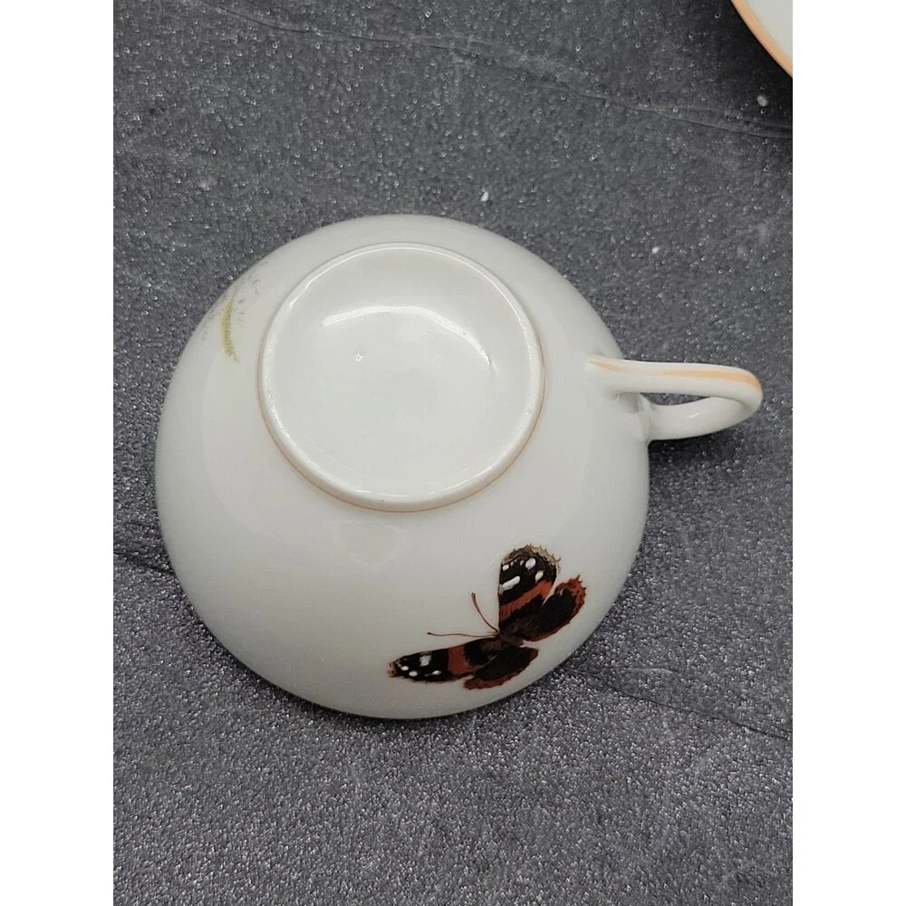 READ 2 ? Haviland Limoges ? Meadow Visitors Cup/Saucer Butterflies/Grasses